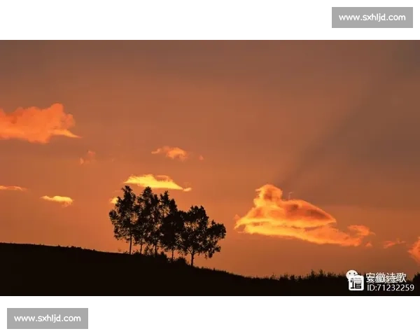 泰山困局：双线迷失下的重建之惑