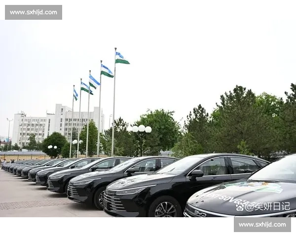 首进世界杯！乌兹别克斯坦总统豪赠 42 辆比亚迪豪车，总价 660 万球员直接开走
