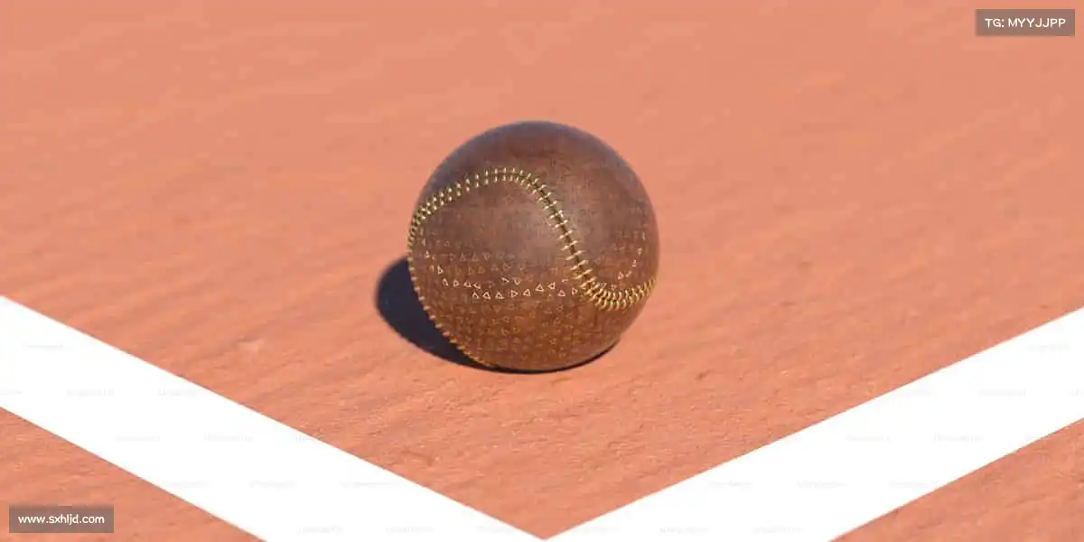 行业领先的理由